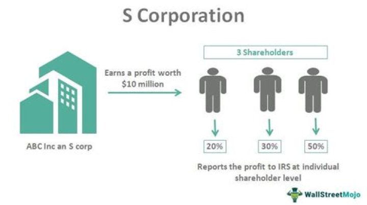 Are S corp shareholders considered owner employees?