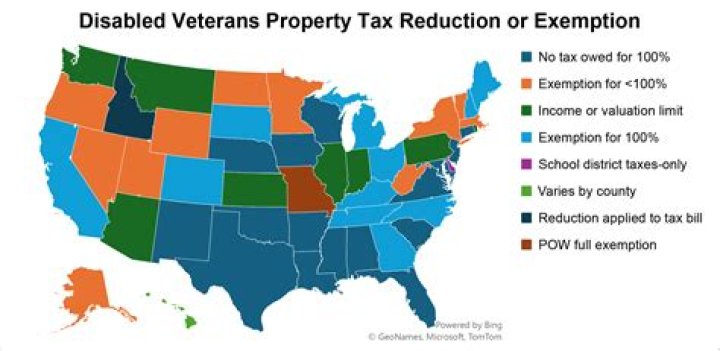 Can a 100 disabled veteran file taxes?