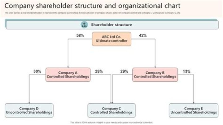 Can a professional corporation have multiple shareholders?