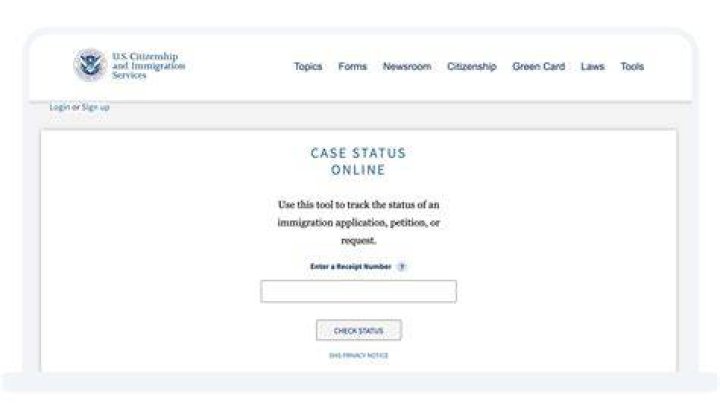 Can I check my filing status online?