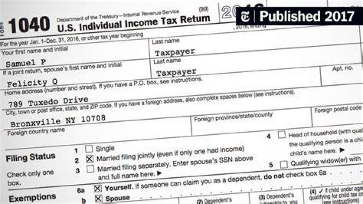 Can I complete my own tax return?