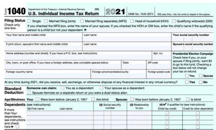 Can I do my own taxes if self employed?