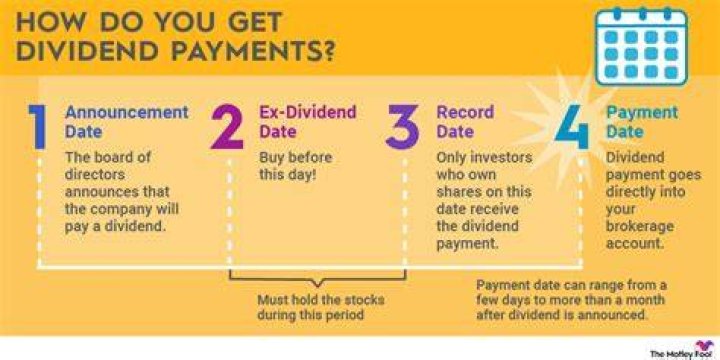 Can I pay my partner dividends?