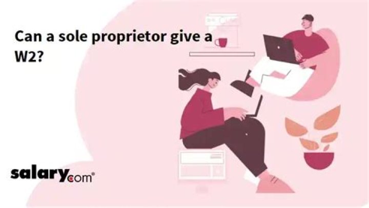 Can I W-2 myself as a sole proprietor?