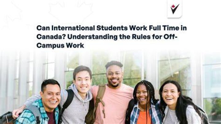 Can international students work in university?