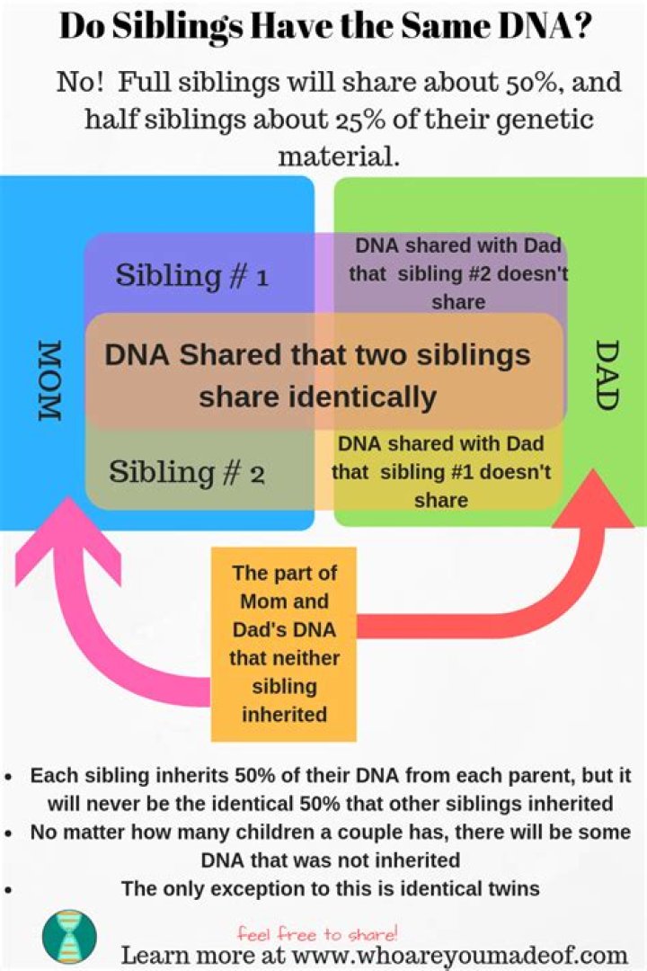 Can siblings share a mortgage?