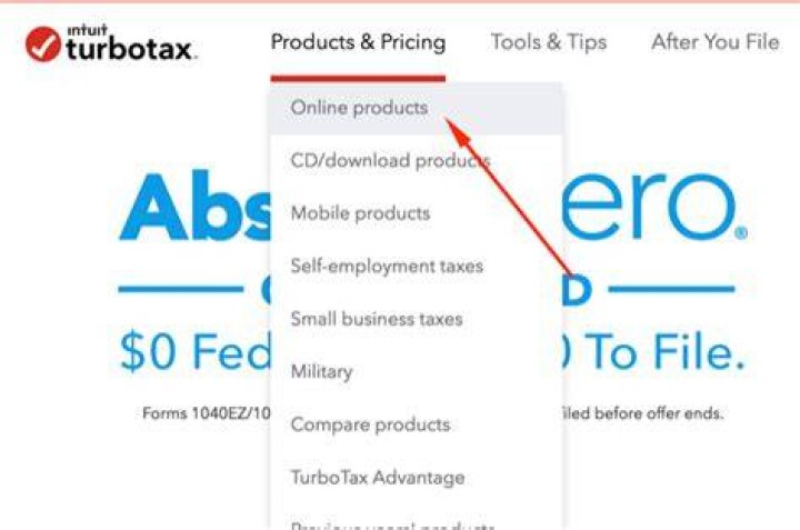 Can you file your taxes online with TurboTax?