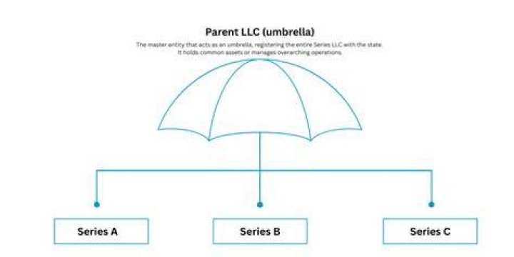 Can you use an LLC as an umbrella company?