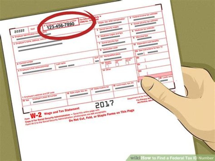 Do you need ID number to file taxes?