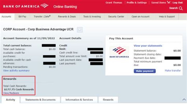 Does Bank of America do business accounts?