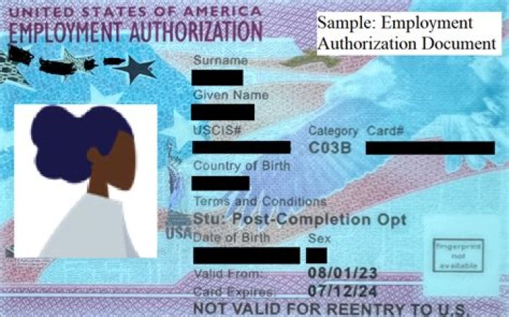 Does US work authorization include OPT?