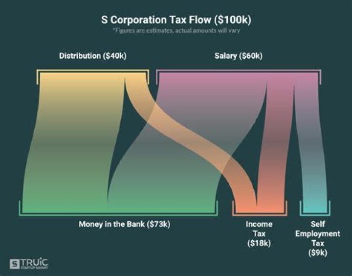 How are profits distributed in an S corporation?