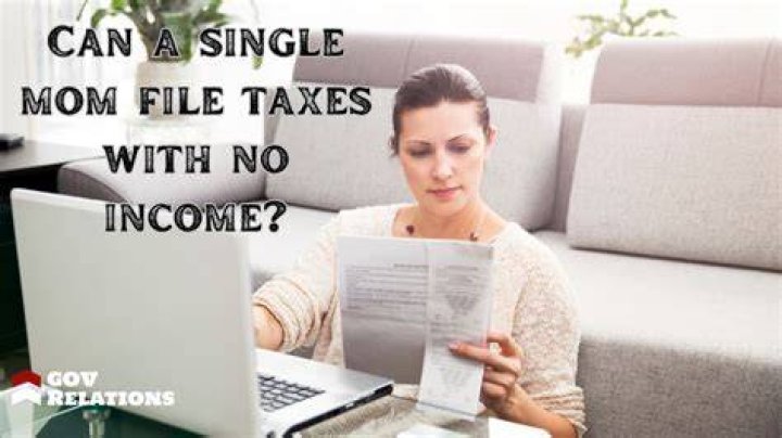 How can I file my taxes with no income?