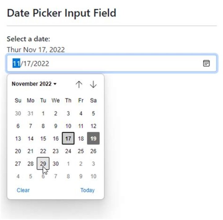 How can I get only input date from date?