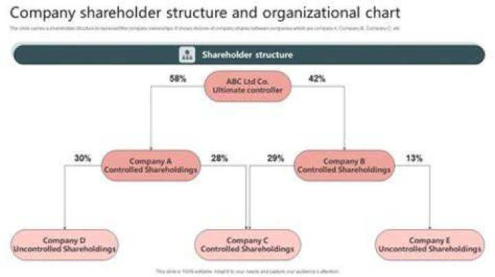 How do I change shareholders percentage in S Corp?