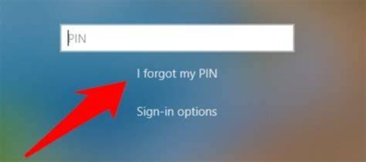 How do I file my taxes if I lost my PIN?