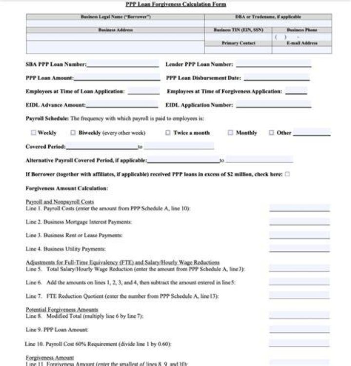 How do I fill out the PPP loan forgiveness application?