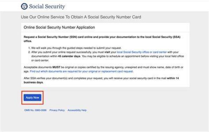 How do I get my Social Security back in Germany?