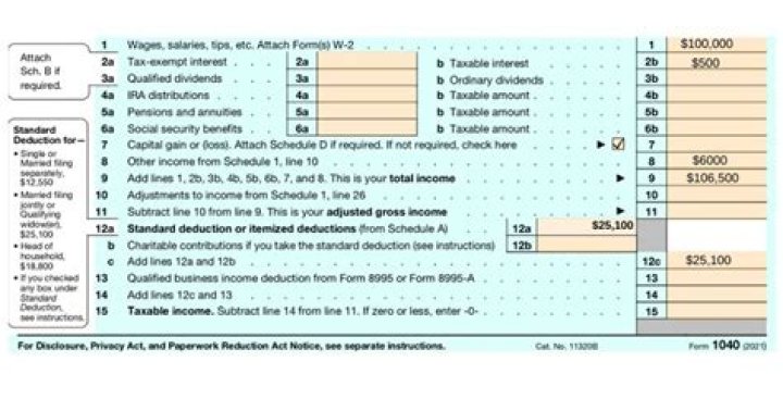 How do I report Global income on 1040?