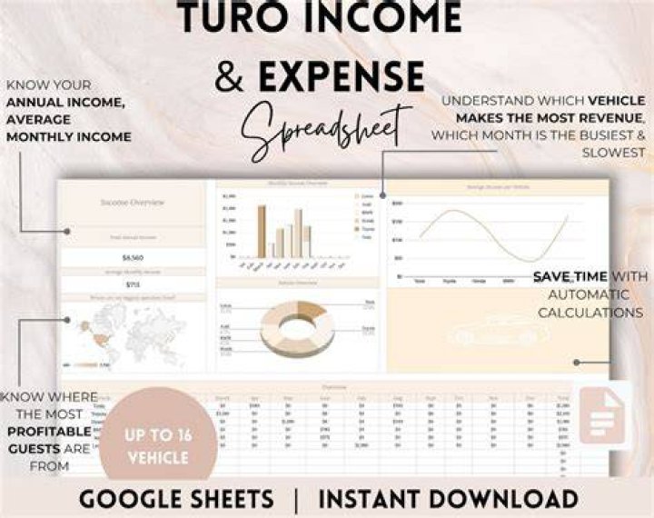 How do I report Turo income?
