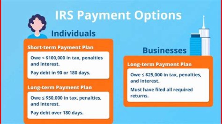 How do I set up a short-term payment plan with the IRS?