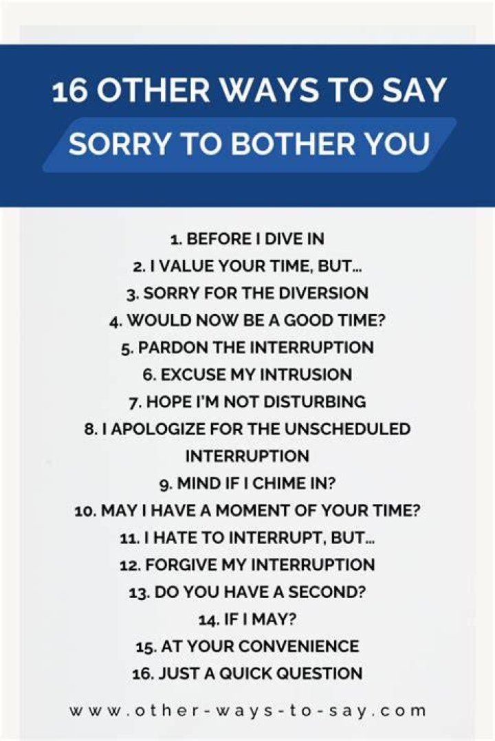 How do you say sorry for being a bother?