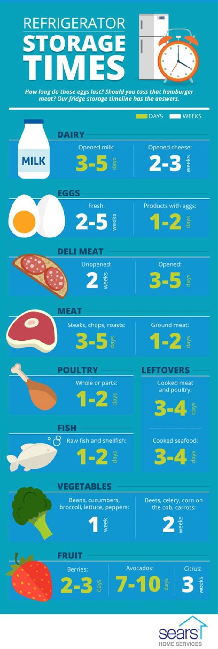 How long after buying a fridge can you use it?