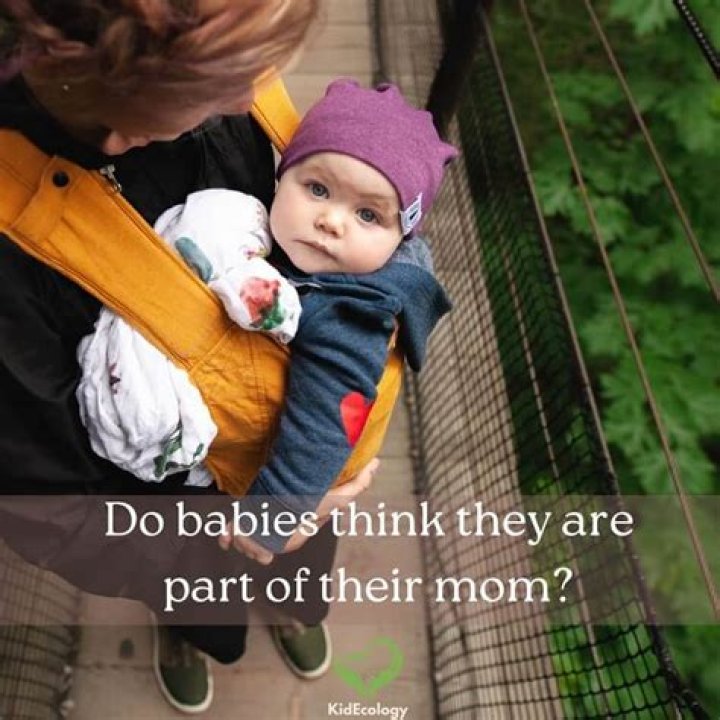 How long do babies think they are part of their mother?
