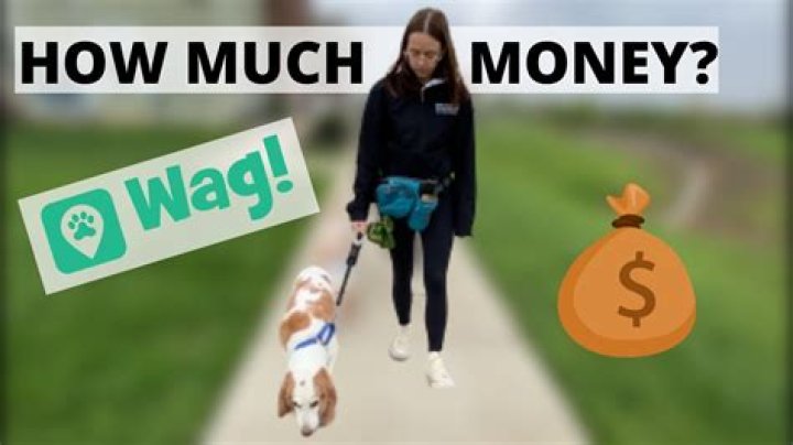 How much do Wag dog walkers make?