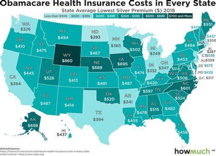 How much does ObamaCare cost 2019?