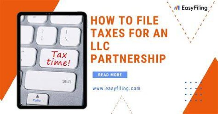 How to file taxes for a Partnership LLC?