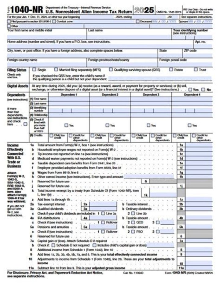How to fill out schedule NEC Form 1040NR?
