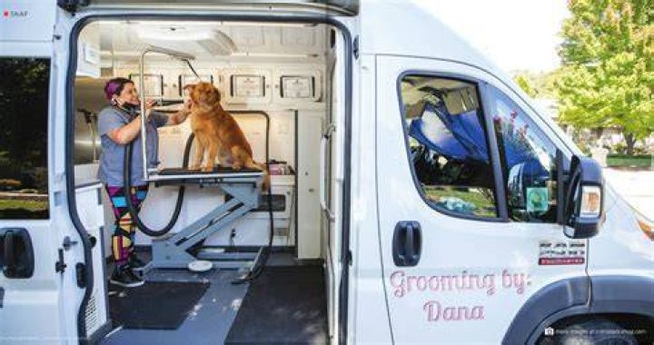 Is mobile dog grooming business profitable?