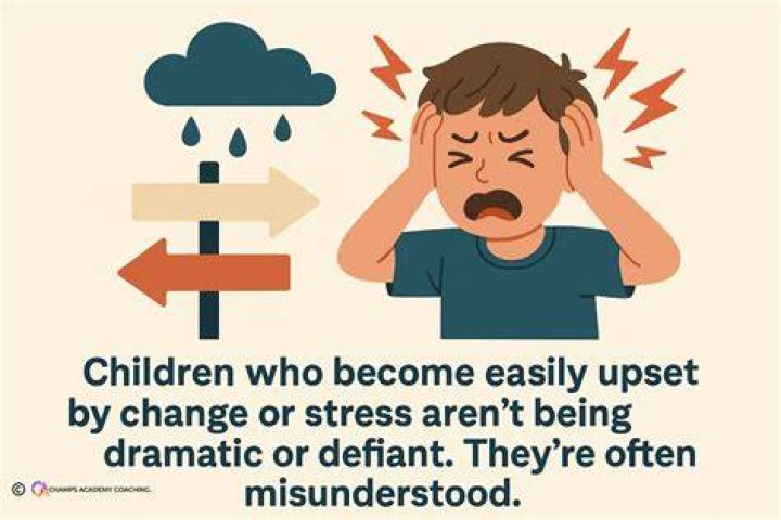 What causes easily upset?