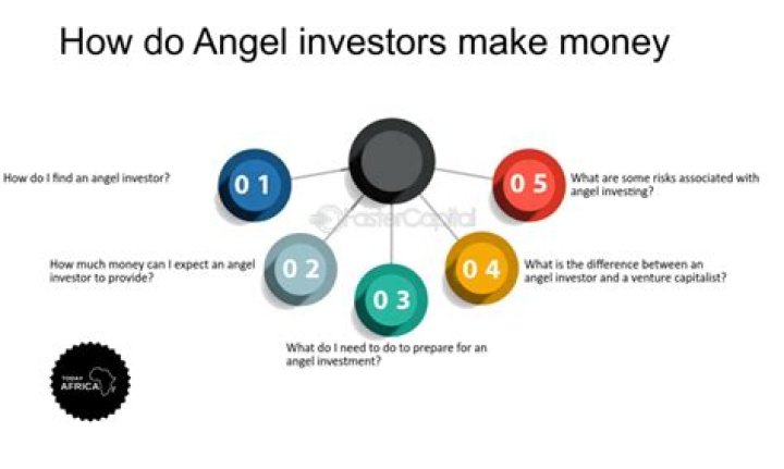 What do angel investors receive in return for their investment?