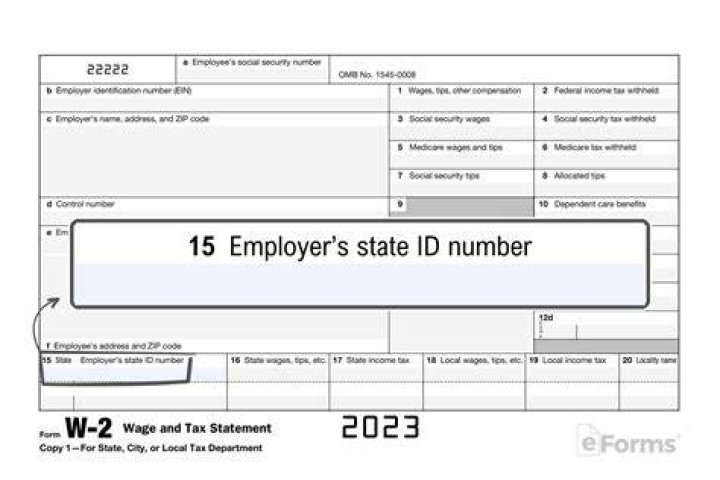 What do I do if my employer lies on my W-2?