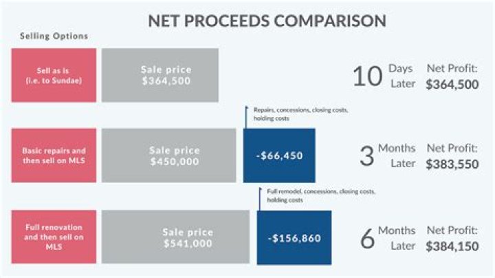 What do you mean by net proceeds from a sale?