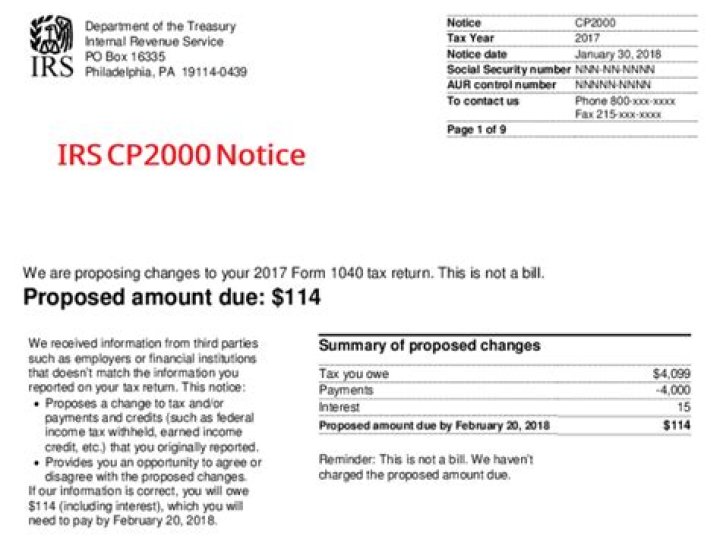 What does a CP2000 notice show on a tax return?
