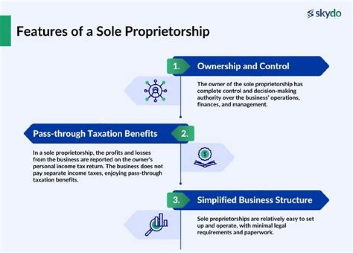 What does a sole proprietor has?