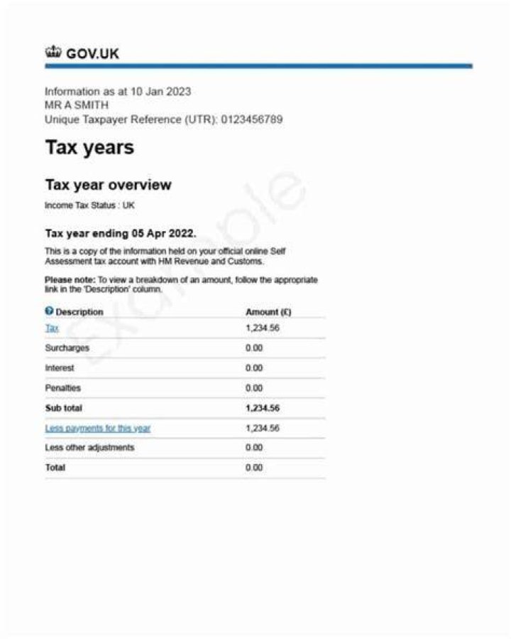 What does current tax year mean?
