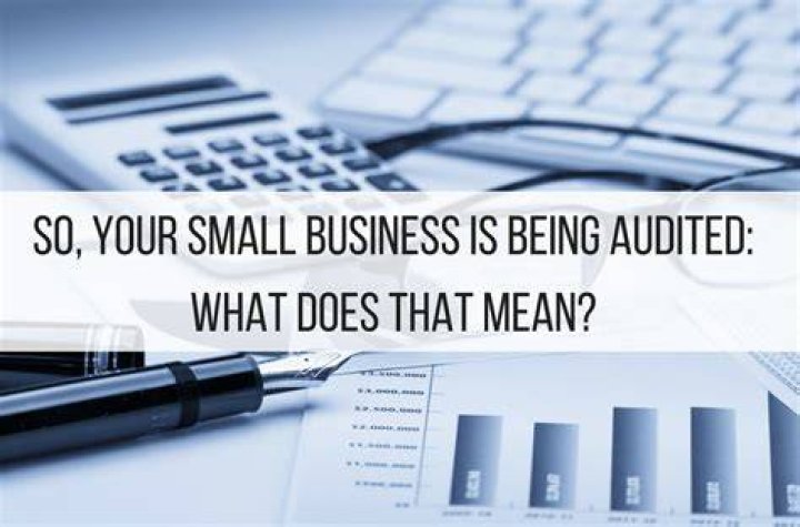 What does it mean to have your business audited?