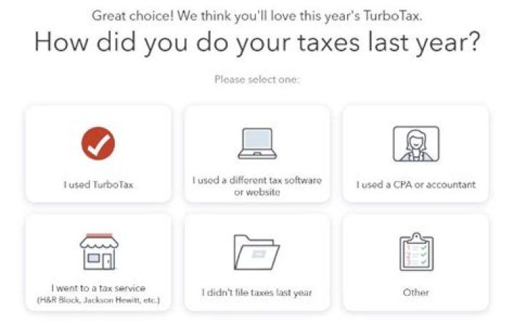 What does needs review mean in TurboTax?