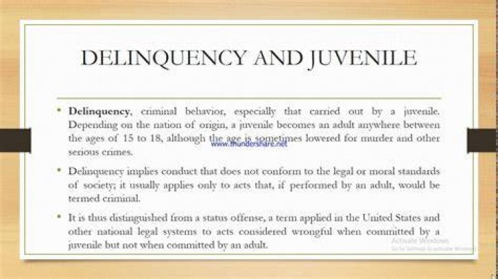 What does prior year delinquency mean?