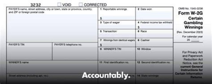 What form is used for gambling winnings?