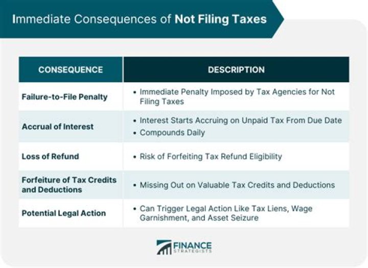 What happens if I accidentally file my taxes twice?