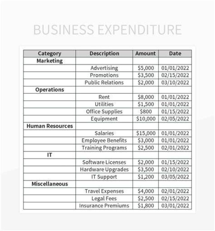 What is a business expenditure?