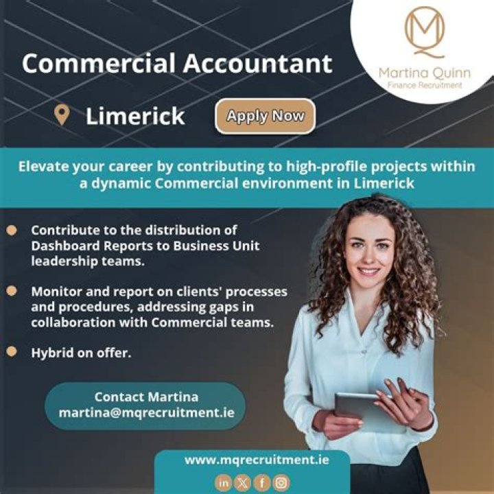 What is a commercial accountant?