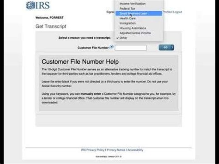 What is a customer file number on the IRS website?