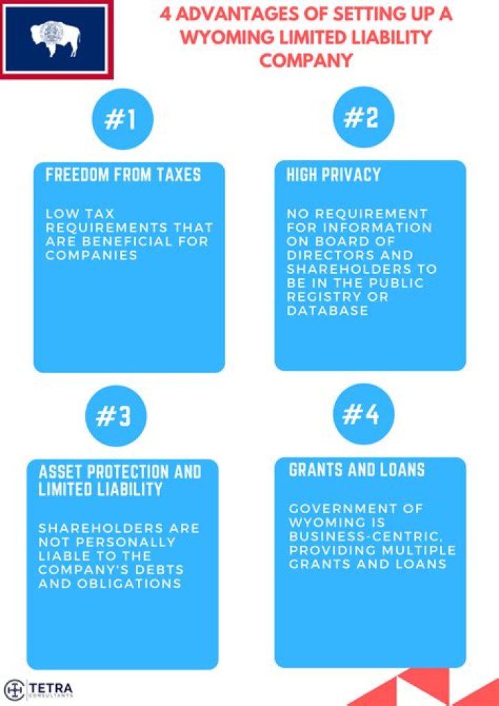 What is a limited liability company in Wyoming?