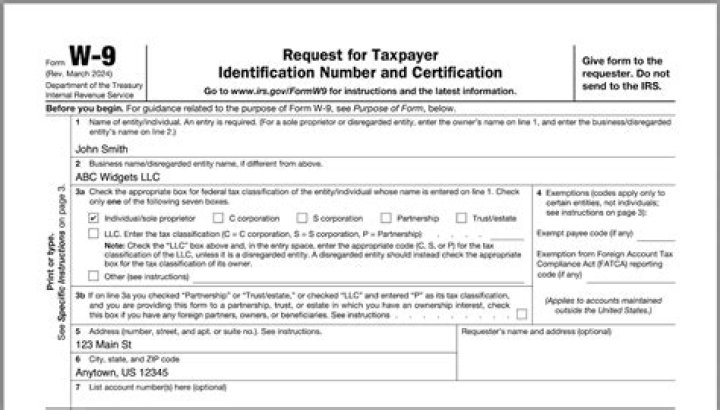 What is a single member corporation?